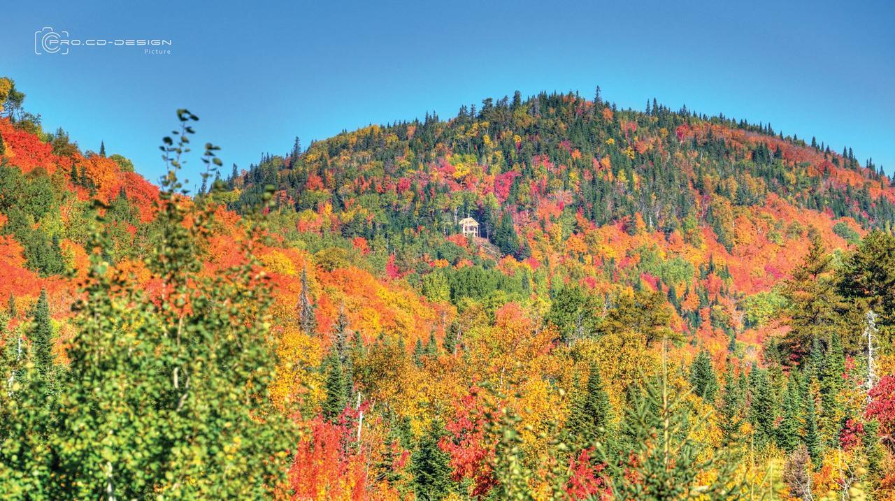 Le Ti Moose La Malbaie Exterior foto