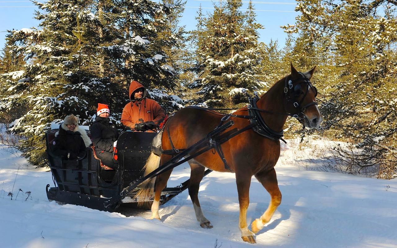Le Ti Moose La Malbaie Exterior foto