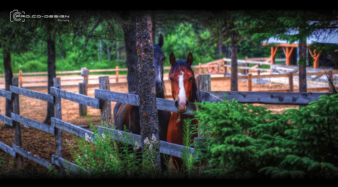 Le Ti Moose La Malbaie Exterior foto